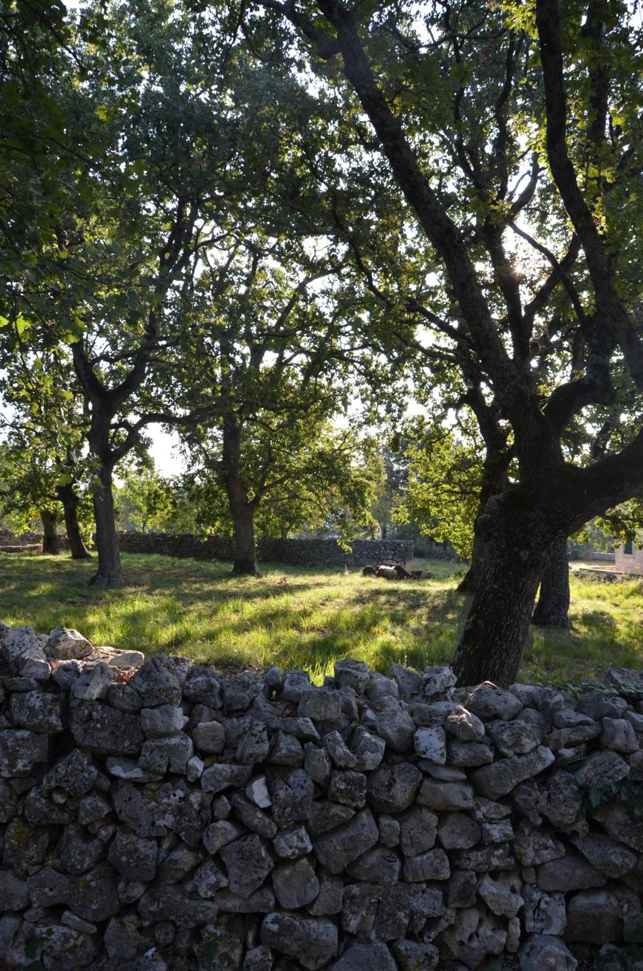 Villa Leopoldo By Istrian Country Houses Barat  Εξωτερικό φωτογραφία